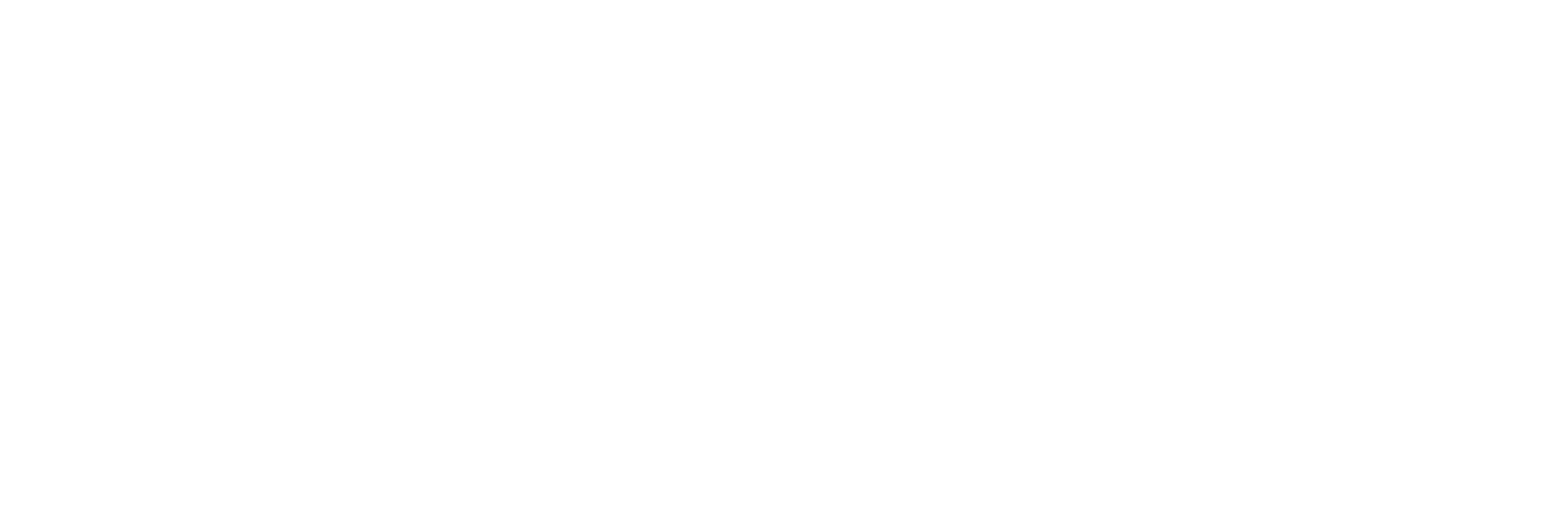 LDUVIN 公式 / 高品質 スーツケース LOGO