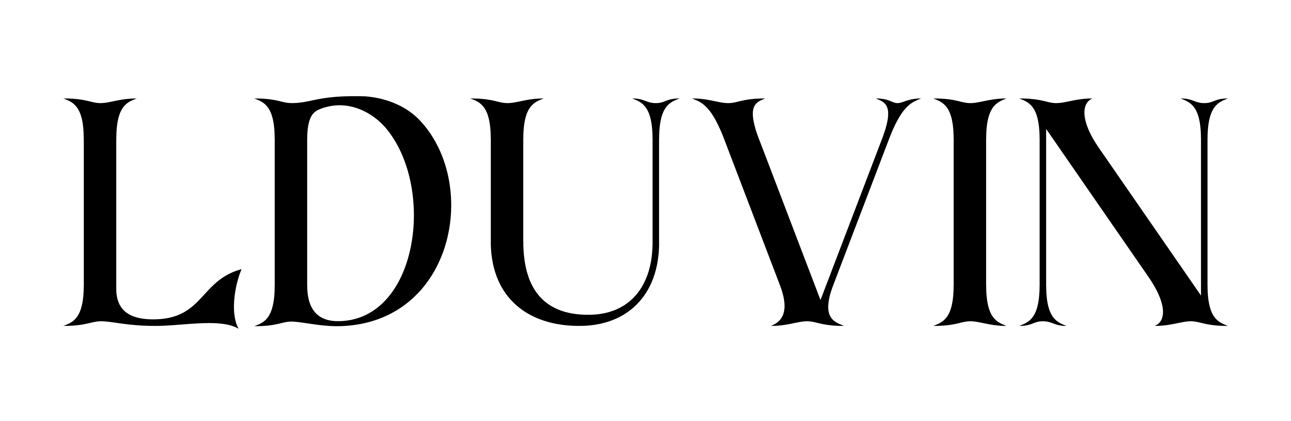 LDUVIN 公式 / 高品質 スーツケース LOGO