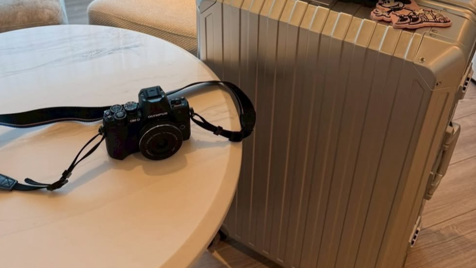 お客様投稿（LDUVIN アルミニウム ブリリアント）